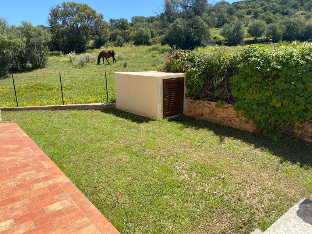 Villino La Funtana Villa San Teodoro  Eksteriør billede